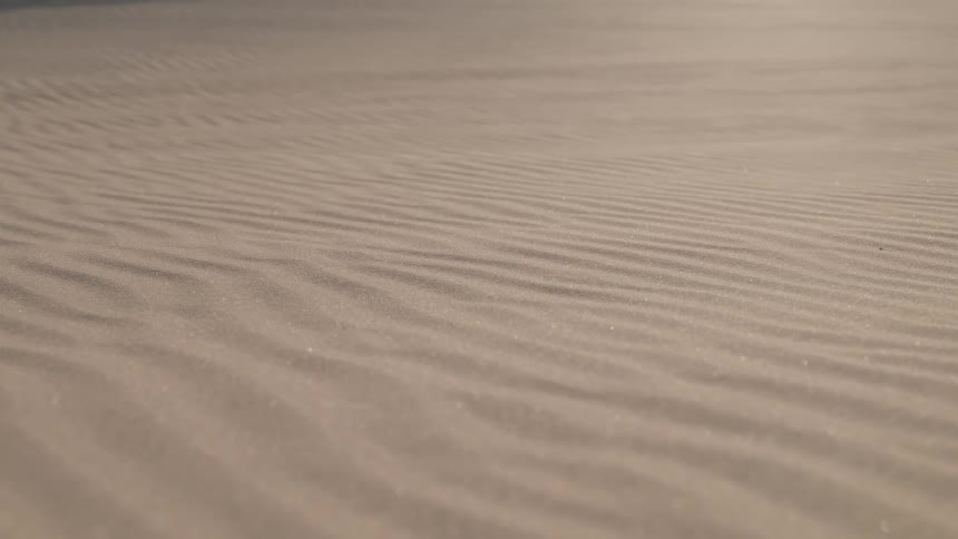 The surface of a sandy desert that has been blown by then wind