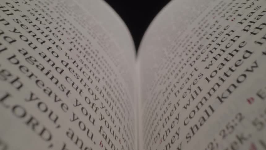 Pages of an open book seen up close with the text in focus