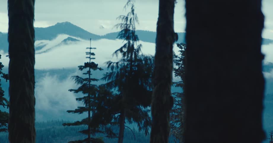 A view from inside a forest shows the silhouettes of several large trees with a snowy mountain range covered in fog and thick woods visible in the background
