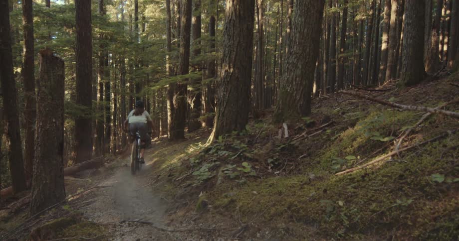 Cyclists ride along a forest trail with one performing a jump