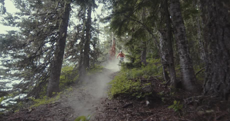 Two people go mountain biking on a trail in the woods at midday