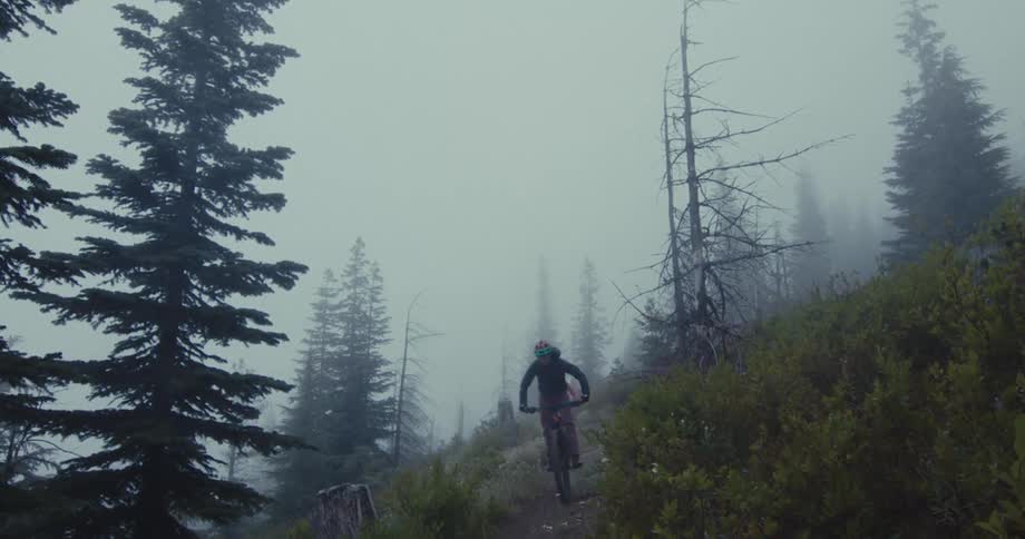 A couple wearing helmets ride bicycles toward the camera down a dirt path on a foggy mountain surrounded by tall pine trees