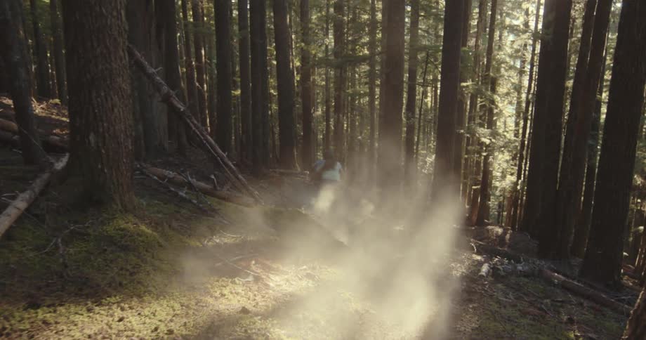 Two people go mountain biking in the woods on a sunny day