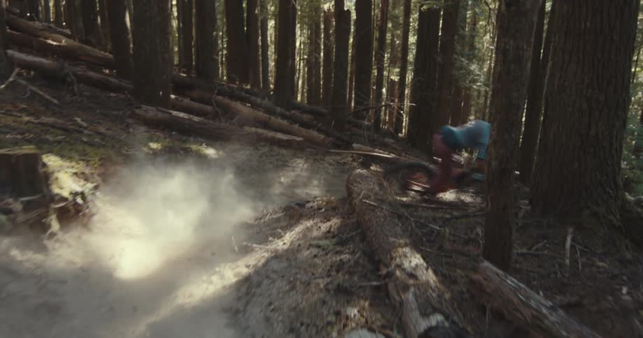 A couple of mountain bikers wearing helmets ride down a steep dirt path in a forest kicking up a large cloud of dust as they descend