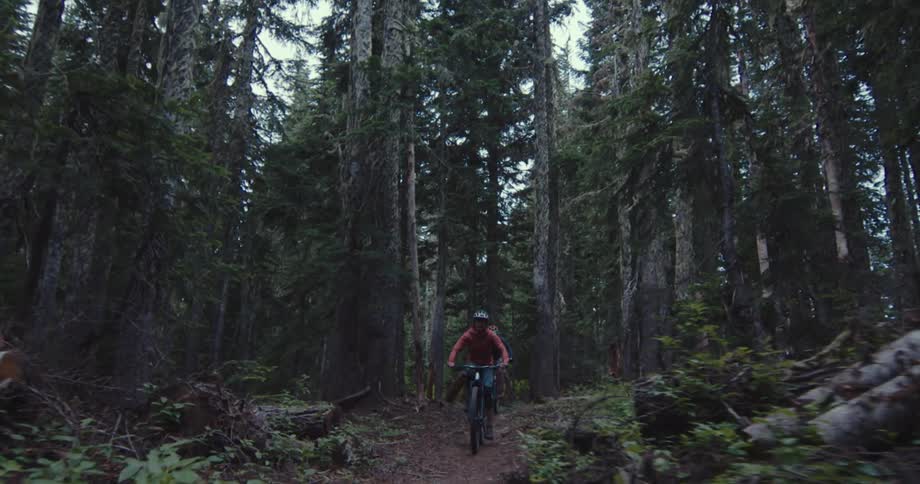 Cyclists ride along a trail in the forest