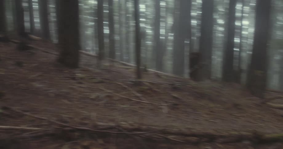 Two people roll downhill fast on their mountain bikes