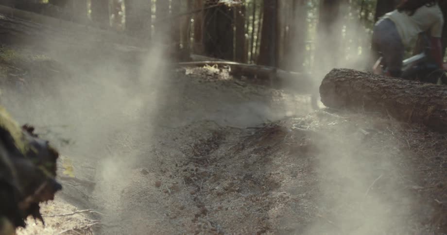 A mountain biker rides through a dusty forest trail among tall trees