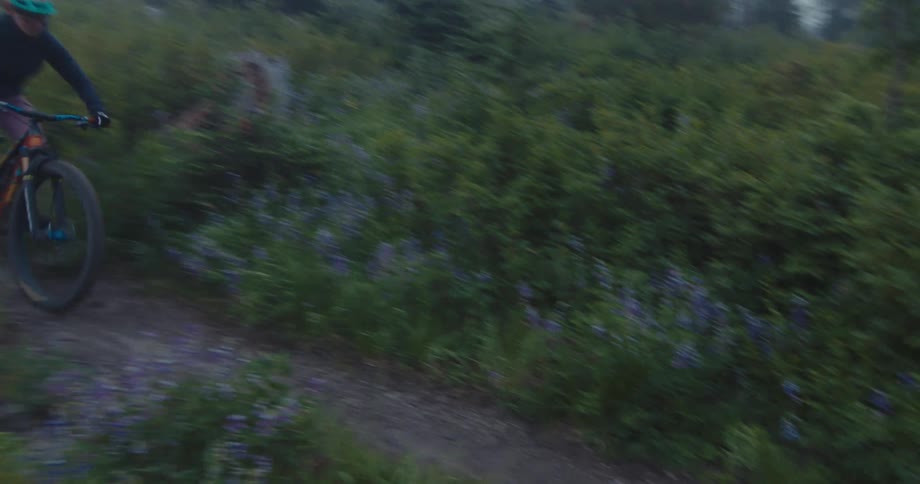 Two people are riding a bike downhill on a dirt path in the middle of the forest on a hill