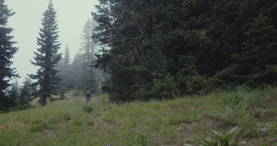 People ride their mountain bikes through the fog