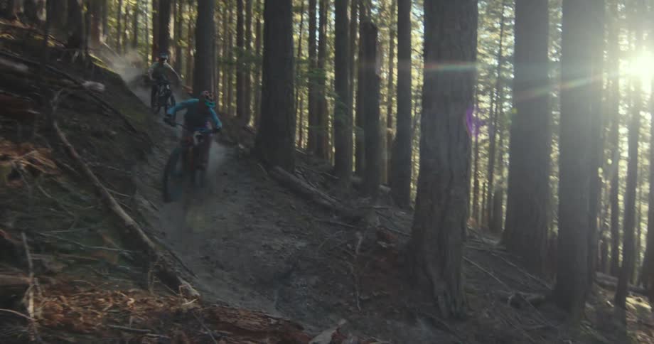 Two people ride mountain bikes downhill on a trail through the woods surrounded by trees at midday
