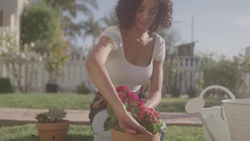 The video shows a woman with curly hair planting a pot with a red flower in it the scene takes place outdoors on a sunny day in a yard with a grassy lawn