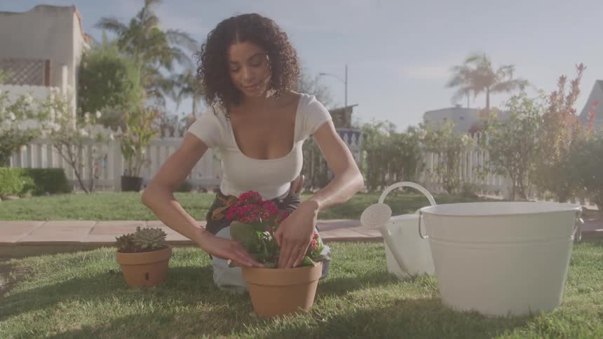 Woman planting flowers outdoors on sunny day