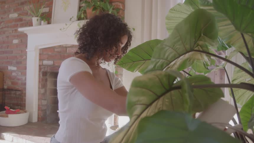 Woman tends to plants near a window in an indoor setting