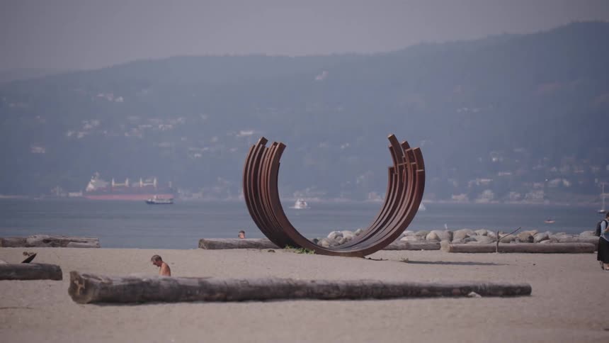 The video shows a wide shot of a beach with a person standing on the sand near a large wooden art installation the background features a large body of water with mountains in the distance and a hazy sky