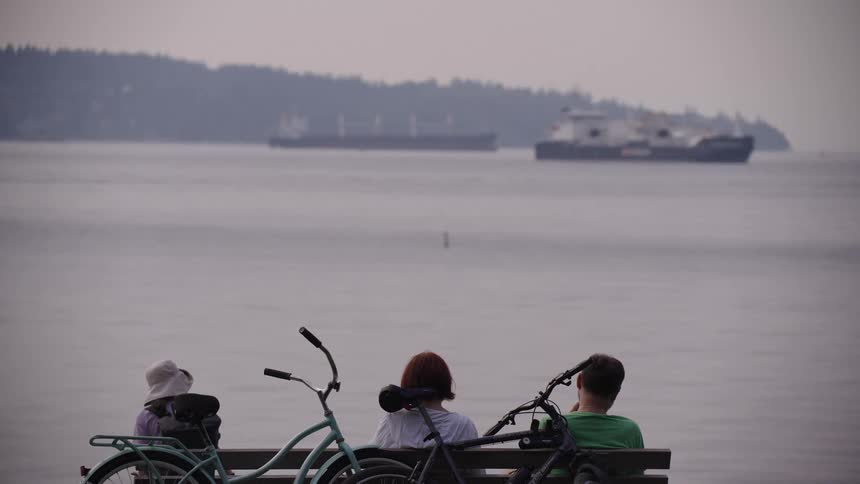 A group of people sits on a bench with bicycles next to them looking out at a body of water with ships in the distance while a person walks past them