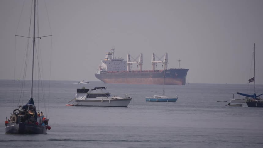 Several boats including sailboats and motorboats float in the foreground while a large cargo ship moves across the horizon in the distance