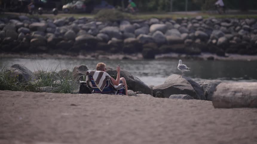 A person relaxes on a folding chair at the edge of the beach holding up a phone while a seagull perches on a nearby rock
