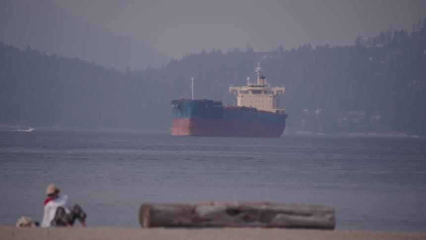 A freighter is anchored off the beach coast in the distance