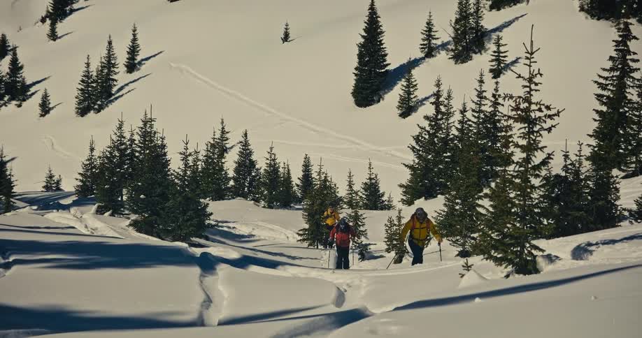 The video shows a wide shot of two people dressed in winter gear standing on a snowcovered mountain with several pine trees the background shows ski tracks on a slope suggesting they are backcountry skiing or snowboarding