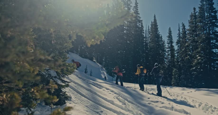 Four men hike up a snowy mountain trail wearing skiing equipment and walking on their ski boots on a sunny day surrounded by trees