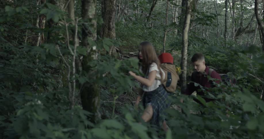 A man and woman walk uphill in the woods