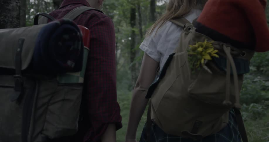 Two people hike into the forest together