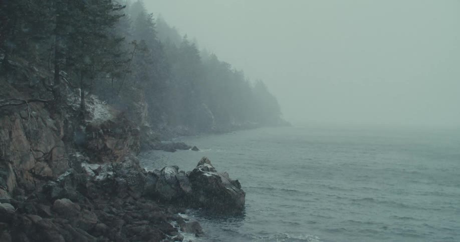 A snowy mountain cliffside covered in trees descends into a vast gray and choppy ocean the weather appears bleak and frigid with snowflakes falling