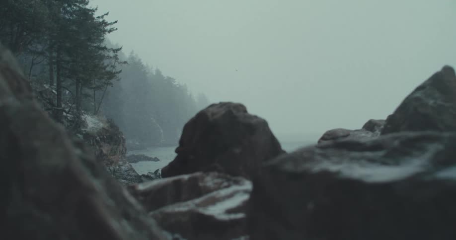 Falling snow collects on the boulders located near a coastal forest on a foggy winter day