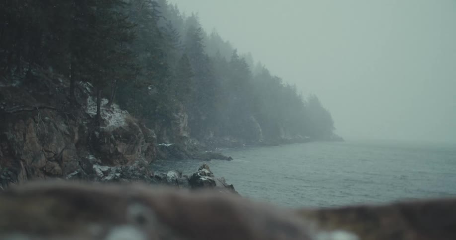 Snow collects on the ground while fog obscures a nearby coastal forest on a snowy winter day