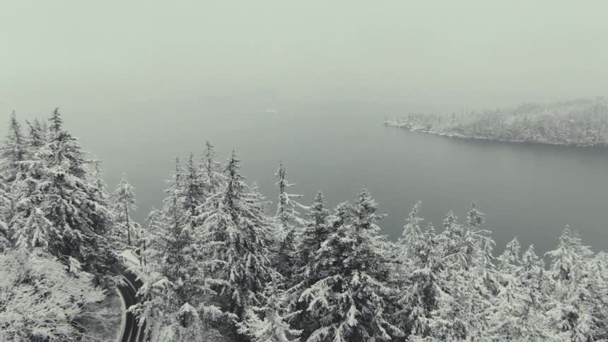 A freeway winds through a forest of snowcovered trees with a lake alongside on a cloudy snowy day