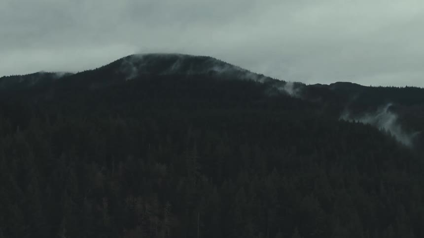 Mountain covered by dense forest shows low mist over the dark summit