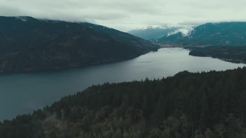 Aerial landscape of a sea surrounded by mountains with conifers