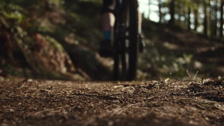 Person riding a bicycle on a forest trail