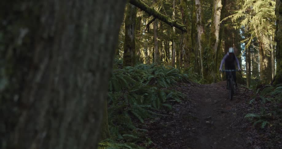 A person on a bike rides down a trail in a forest