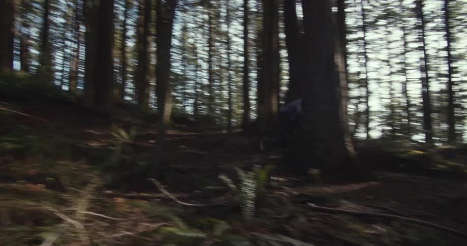 Person riding a mountain bike down a forest trail