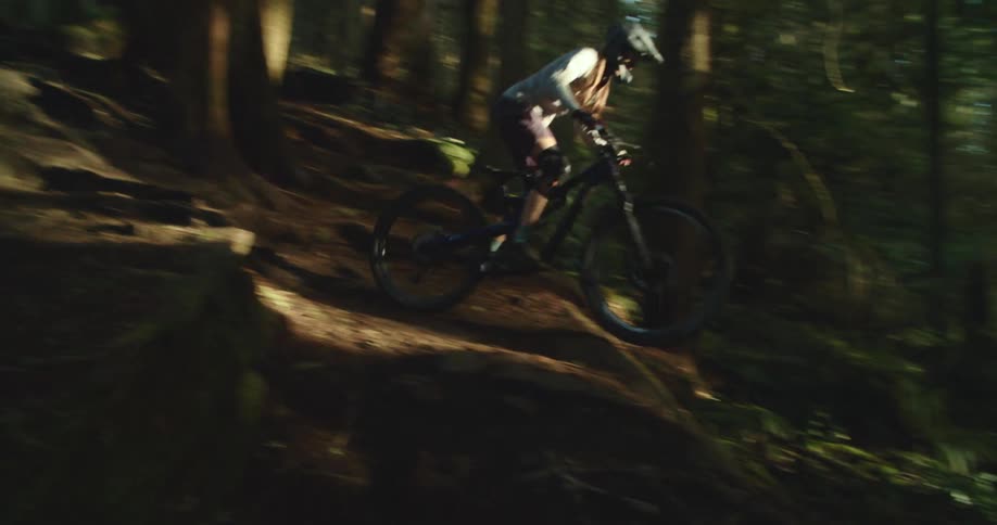 A man on a mountain bike rides down a steep dirt path past a large tree with thick roots into the shadow of a dense forest