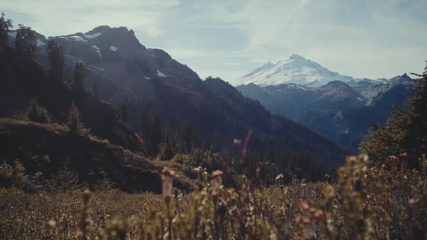 A breathtaking wide shot reveals a vast rugged landscape with snowcapped mountains the foreground is a field of wild grasses and flowers swaying in the wind with towering mountains and rocky terrain in the background