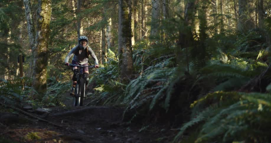 Cyclist rides along a shaded trail through the dense forest