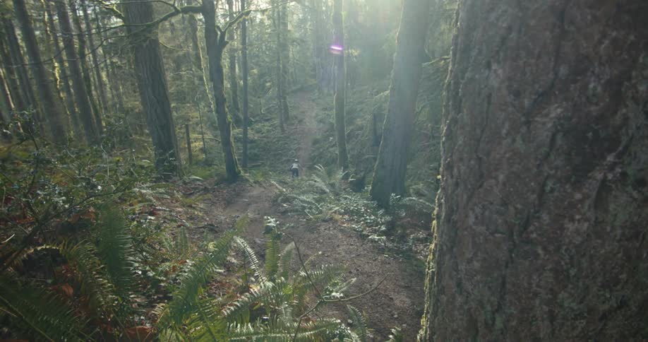 A person on a bike rides on a trail in a forest with sunlight