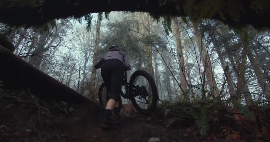 Woman riding her mountain bike up a forest trail