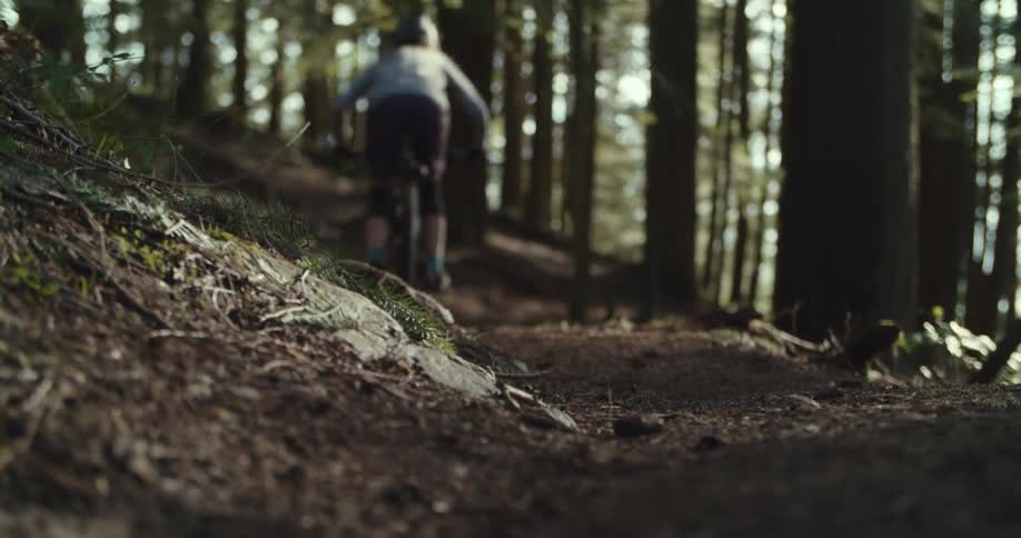 Cyclist rides a dirt bike through the woods during the daytime