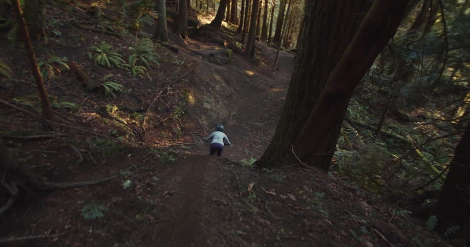 A mountain biker rides down a narrow dirt trail through a dense forest