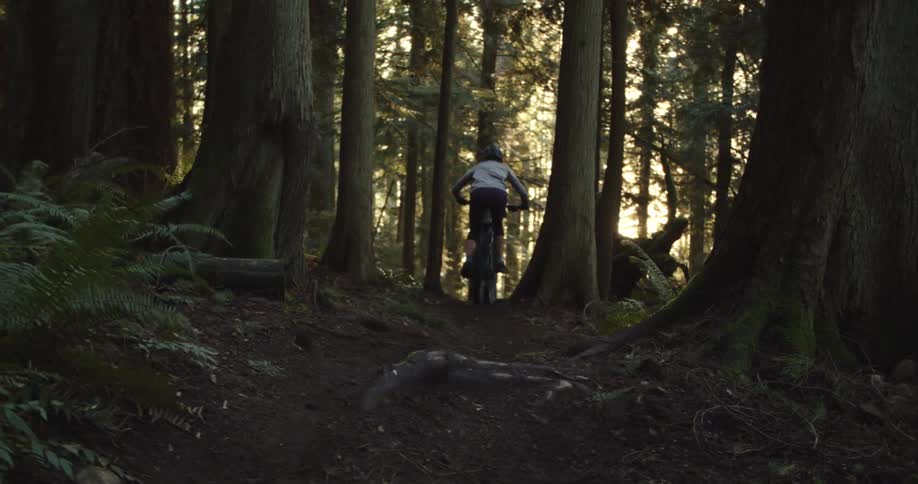 Person riding a mountain bike through the forest
