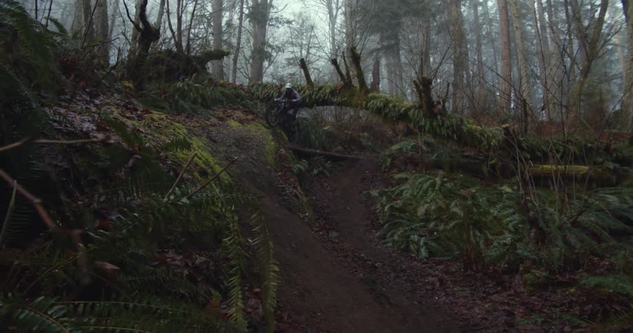 Person riding a bicycle at high speed along a trail in a forest