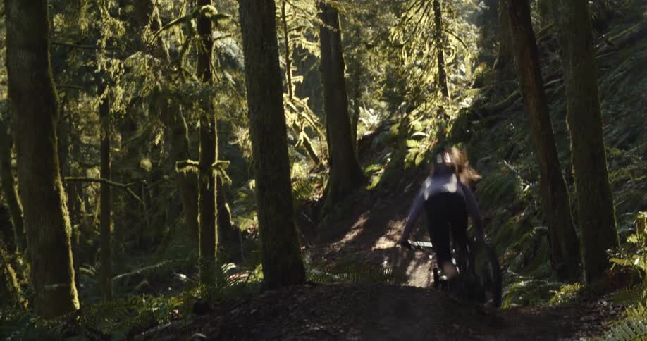 A mountain biker in a black jacket and helmet rides through a lush green forest the sun shines through the canopy creating a mix of light and shadow on the trail