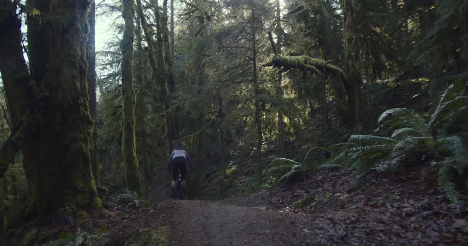 A mountain biker rides along a dirt trail through a dense forest