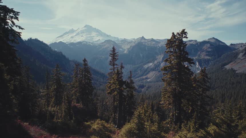 Mountain landscape with conifers