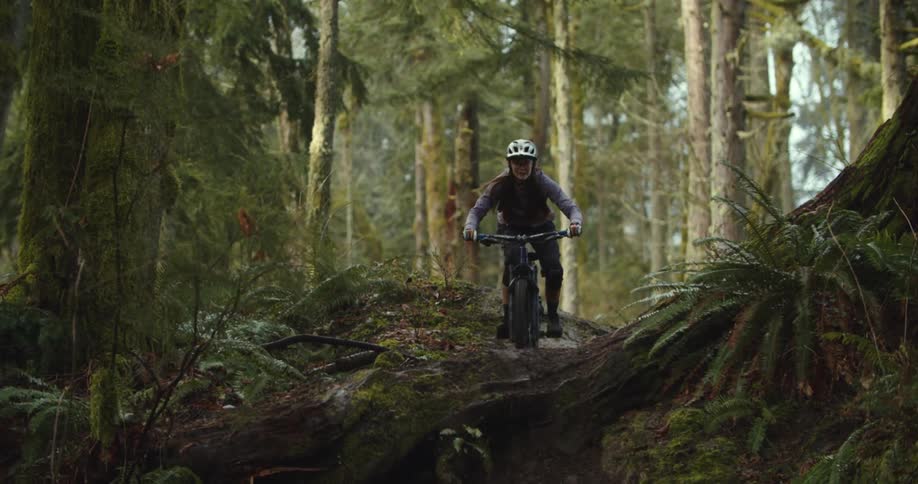 A mountain biker with a white helmet and purple jacket rides on a trail through a dark and mysterious forest they are riding toward the camera which is positioned low and obscured by fallen logs and ferns
