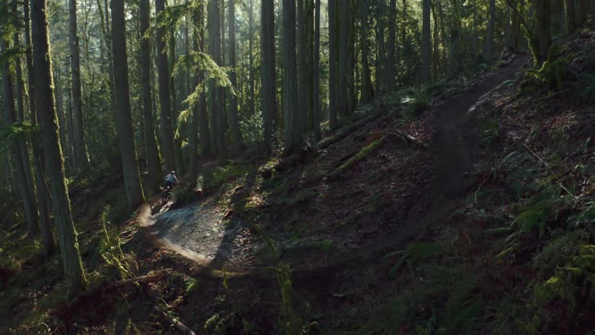 A mountain biker rides down a forest trail at midday taking a sharp turn along the way
