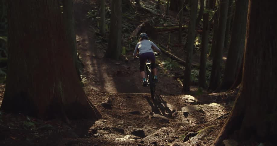 A mountain biker rides uphill on a rugged forest trail